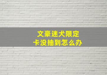 文豪迷犬限定卡没抽到怎么办