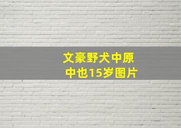 文豪野犬中原中也15岁图片