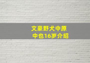 文豪野犬中原中也16岁介绍