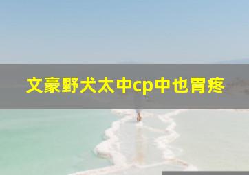 文豪野犬太中cp中也胃疼