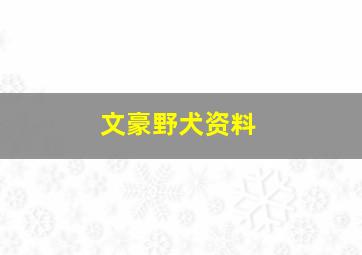 文豪野犬资料