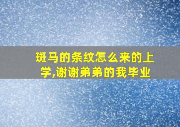 斑马的条纹怎么来的上学,谢谢弟弟的我毕业