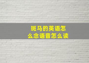 斑马的英语怎么念语音怎么读