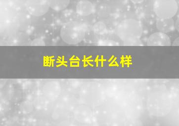 断头台长什么样