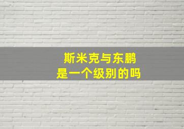 斯米克与东鹏是一个级别的吗