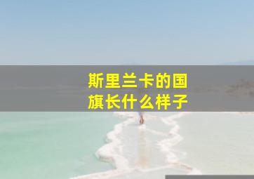 斯里兰卡的国旗长什么样子