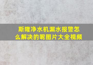 斯隆净水机漏水报警怎么解决的呢图片大全视频