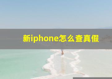 新iphone怎么查真假