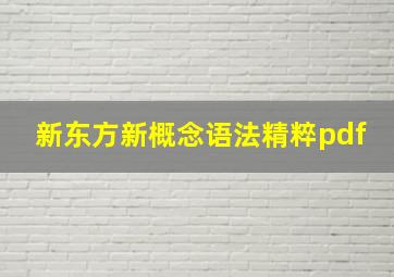 新东方新概念语法精粹pdf