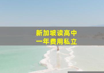 新加坡读高中一年费用私立