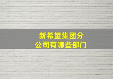 新希望集团分公司有哪些部门