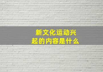 新文化运动兴起的内容是什么