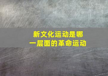 新文化运动是哪一层面的革命运动