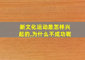 新文化运动是怎样兴起的,为什么不成功呢