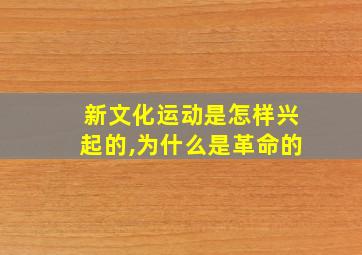 新文化运动是怎样兴起的,为什么是革命的