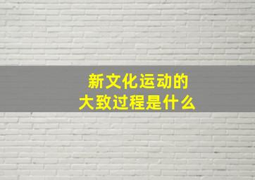 新文化运动的大致过程是什么