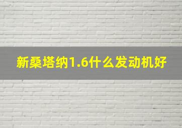 新桑塔纳1.6什么发动机好