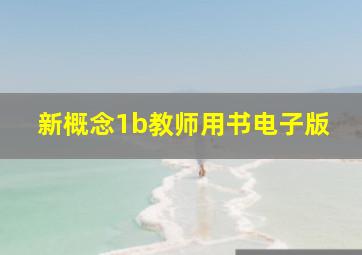 新概念1b教师用书电子版