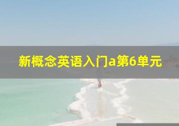 新概念英语入门a第6单元