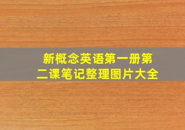 新概念英语第一册第二课笔记整理图片大全