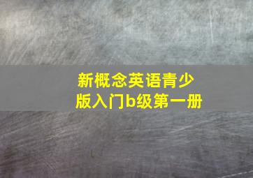 新概念英语青少版入门b级第一册