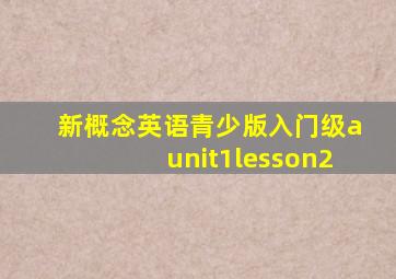 新概念英语青少版入门级aunit1lesson2