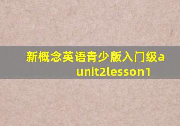 新概念英语青少版入门级aunit2lesson1