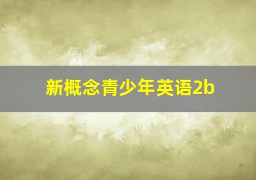 新概念青少年英语2b