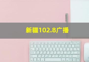 新疆102.8广播