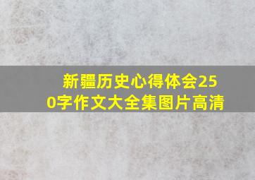 新疆历史心得体会250字作文大全集图片高清