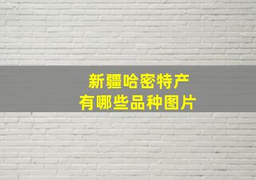 新疆哈密特产有哪些品种图片