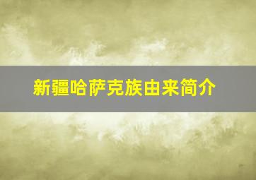 新疆哈萨克族由来简介