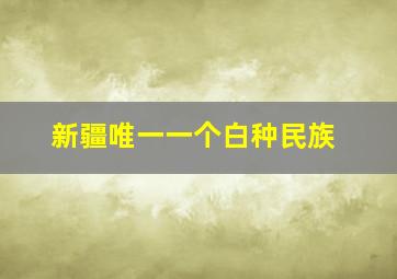 新疆唯一一个白种民族