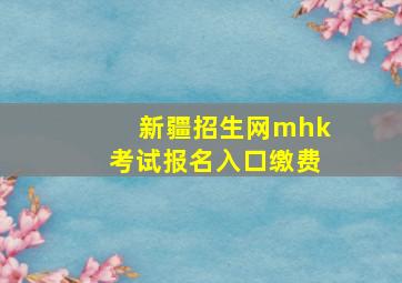 新疆招生网mhk考试报名入口缴费