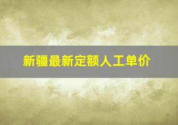 新疆最新定额人工单价