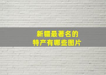 新疆最著名的特产有哪些图片