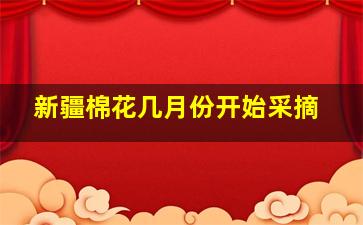 新疆棉花几月份开始采摘