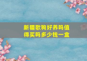 新疆歌驹好养吗值得买吗多少钱一盒