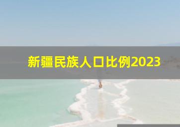 新疆民族人口比例2023