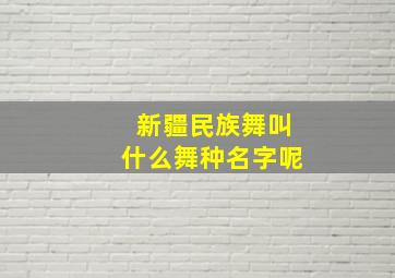 新疆民族舞叫什么舞种名字呢