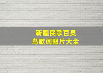 新疆民歌百灵鸟歌词图片大全