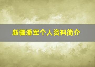 新疆潘军个人资料简介