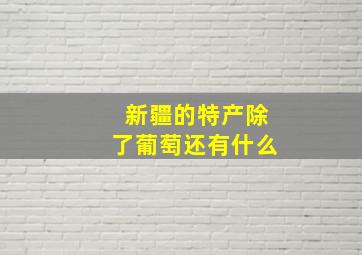 新疆的特产除了葡萄还有什么