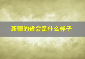 新疆的省会是什么样子