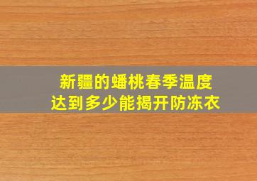 新疆的蟠桃春季温度达到多少能揭开防冻衣