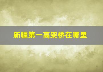 新疆第一高架桥在哪里