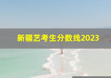 新疆艺考生分数线2023