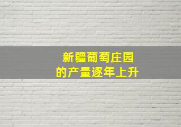 新疆葡萄庄园的产量逐年上升