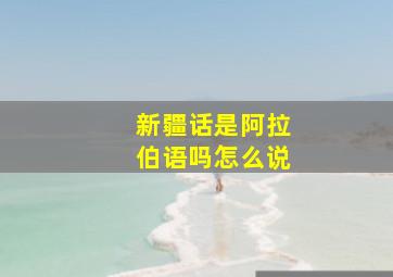 新疆话是阿拉伯语吗怎么说