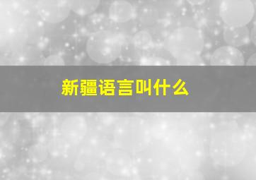 新疆语言叫什么